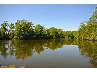 Property photo 82 - LAND AUCTION - 604+/- ACRES OFFERED IN 24 TRACTS IN MORGAN COUNTY, INDIANA